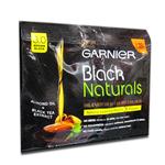 GARNIER NAT. BLACK 3.0 BROWN BLACK COL
